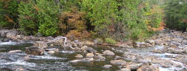 Junction of Henderson Lake outlet (L) and Calamity Brook (R), forming the Hudson - photo courtesy of Doug Reed