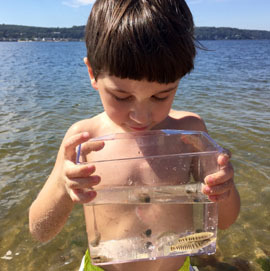 boy holding aquarium containing striped killifish