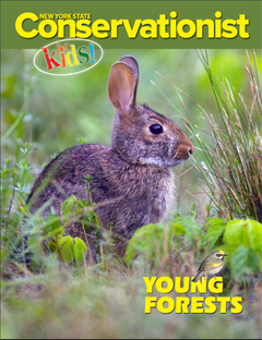 Conservationist for Kids Fall 2016 cover image