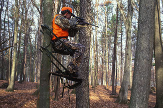 hunter in a tree stand.