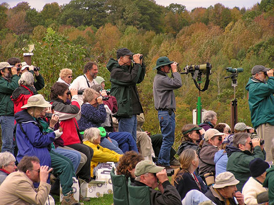 Group of people looking at birds through binoculars