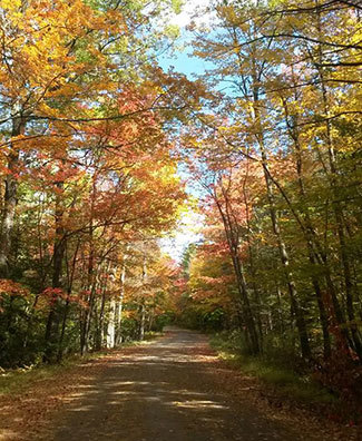 A trail at Grafton State Park with fall foliage.