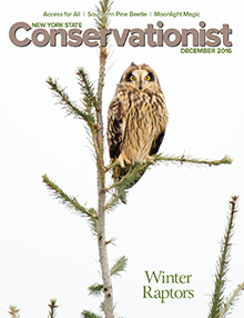 Cover of the December 2016 Conservationist Magazine