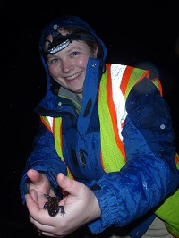 Volunteer helps salamander cross a road