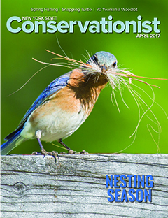 April 2017 cover of the Conservationist