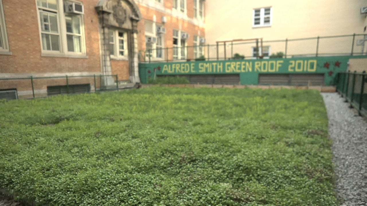 Green Roof HS