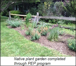 Native plant garden