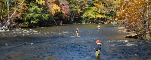 Fall Fishing on the Salmon River