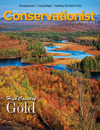 Conservationist cover - October 2017
