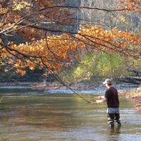 Fall Trout Stream Angler