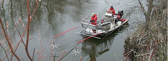 DEC Boat Electrofishing Survey