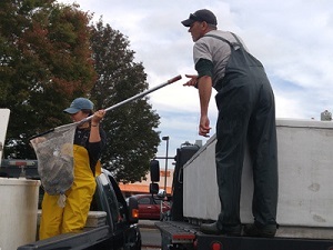 loading the stocking truck with trout