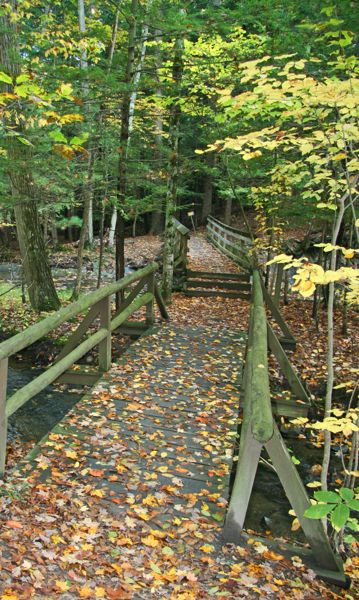 Vlomankill bridges in fall