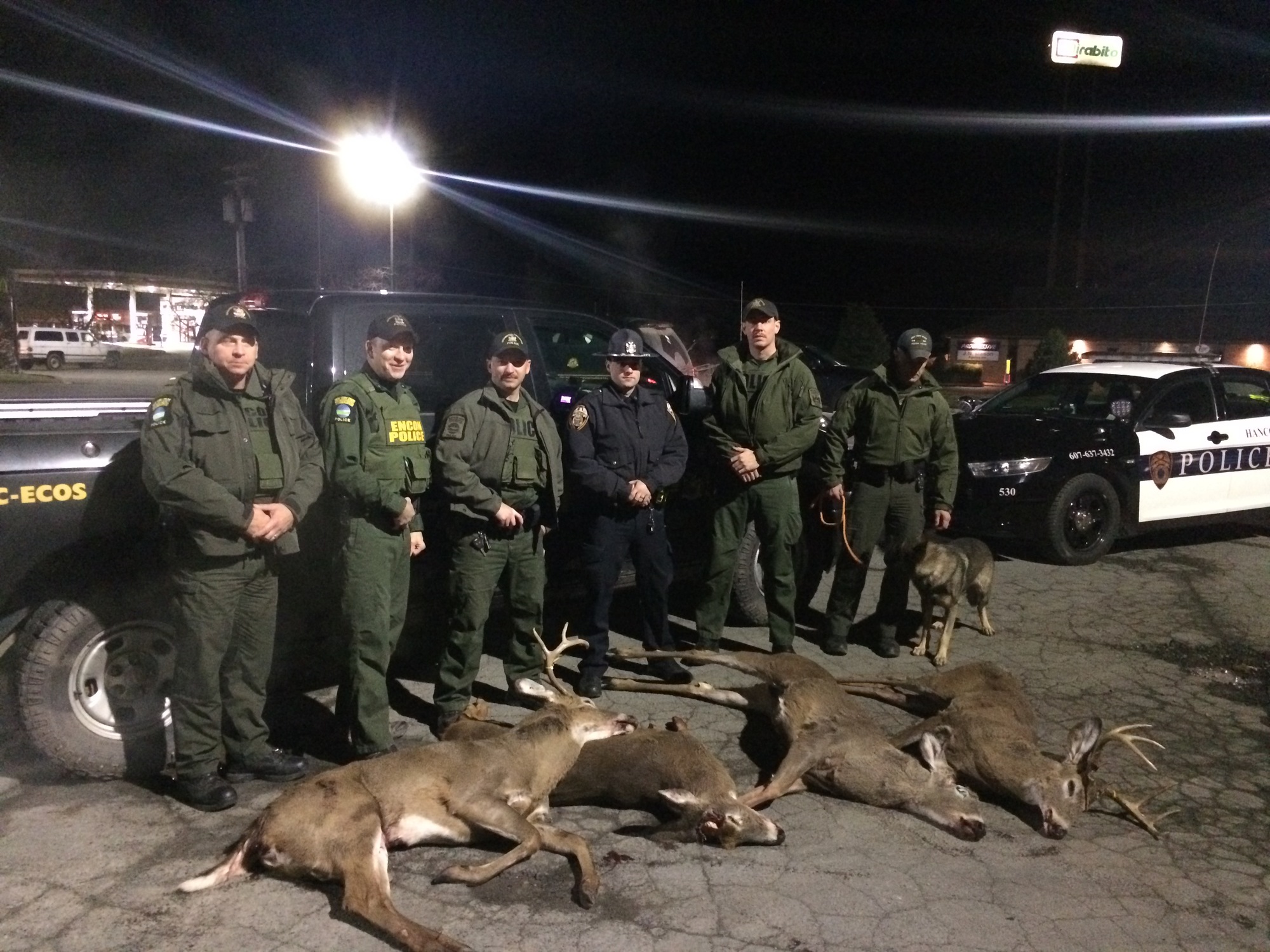 4 Deer Confiscated at Detail Due to CWD
