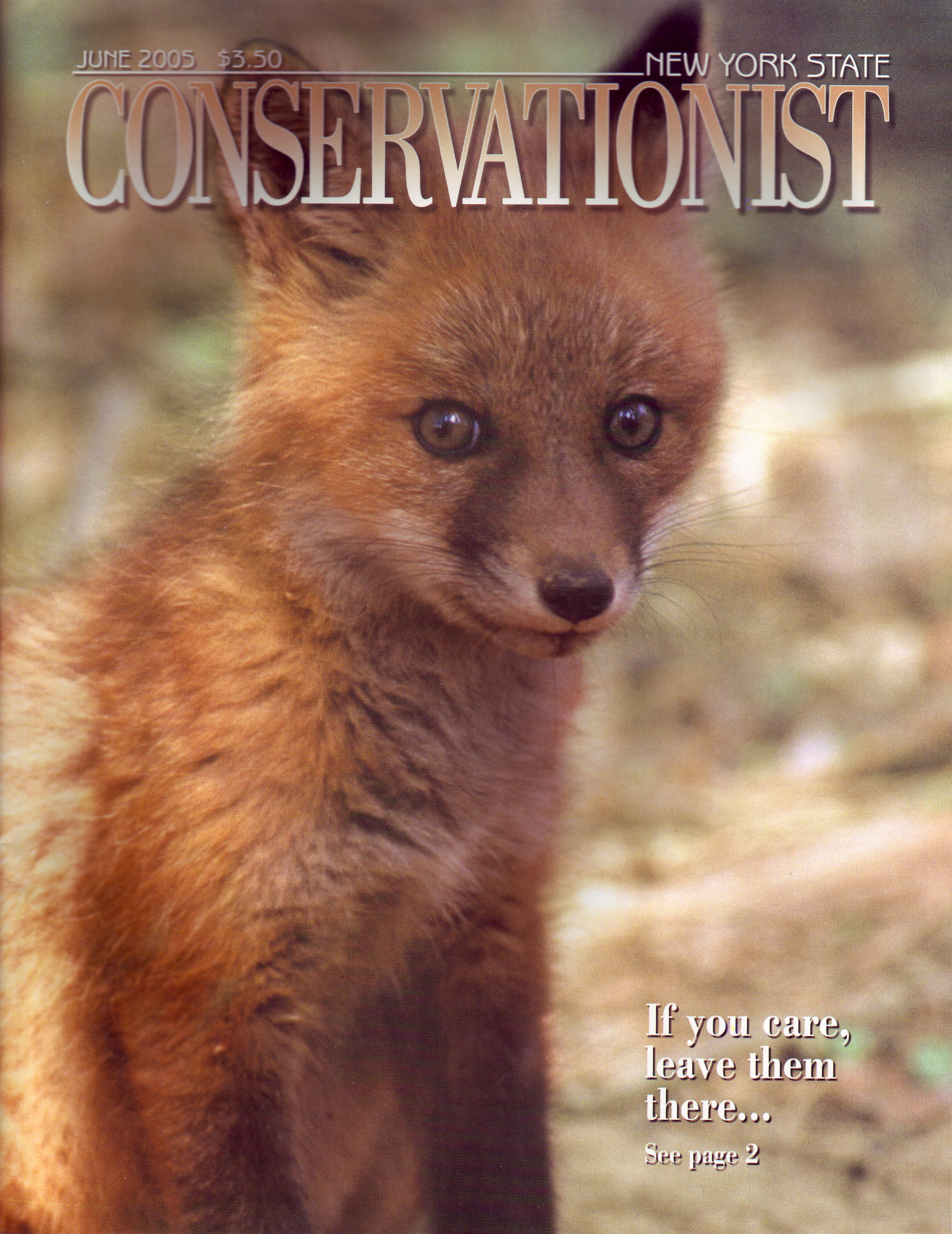 2005 Fox Cover 
