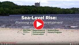 sea-level rising video