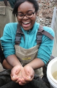 Counting eels at Fallkill Creek