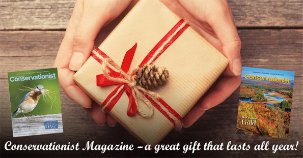 Conservationist Gift