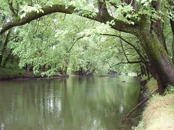 Oriskany Flats WMA, Oneida County
