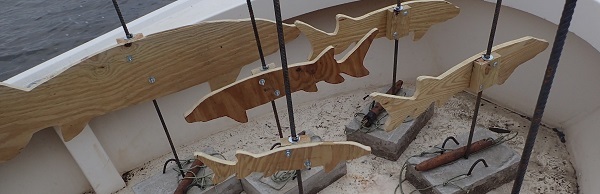 wooden model shortnose sturgeon