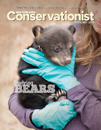 biologist holding bear cub