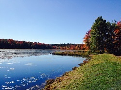Pond at Pharsalia WMA