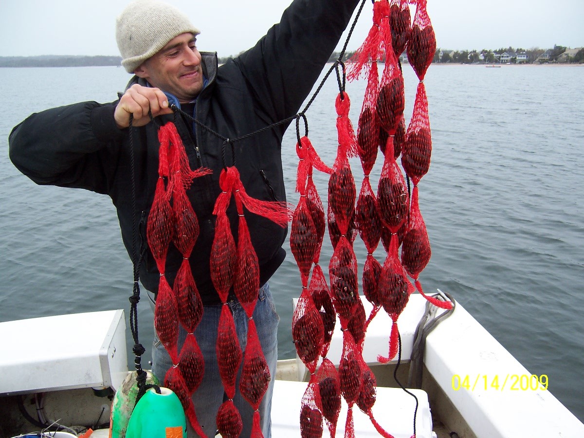 Shellfish Marine Biotoxin Monitoring Mussel Mesh Bags