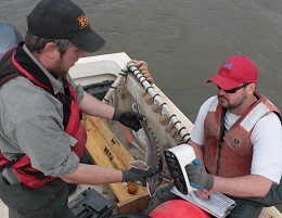 checking for a PIT tag in Atlantic Sturgeon