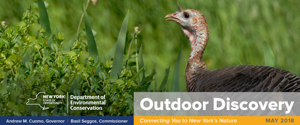 May 2018 Outdoor Discovery