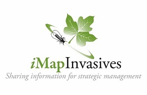 imapinvasives