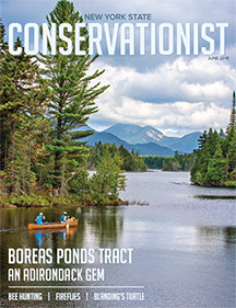 June Conservationist cover - Boreas Ponds