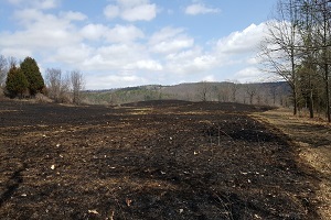 Helmer Creek Wildlife Management Area Helmer Creek Wildlife Management Area