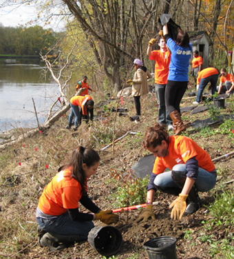 volunteers planting trees and shrubs along a stream
