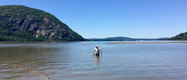 Seining at Little Stony Point courtesy of Phyllis Lake (see 7/12)