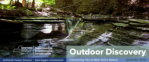 August Outdoor Discovery Banner
