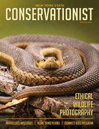August Conservationist cover