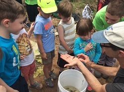 children looking at fish netted during the Great Hudson River Estuary Fish Count