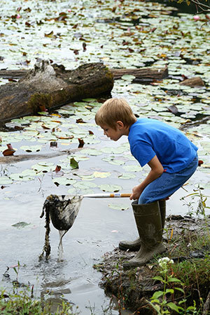 boy scooping pond with net