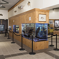 Salmon River Fish Hatchery