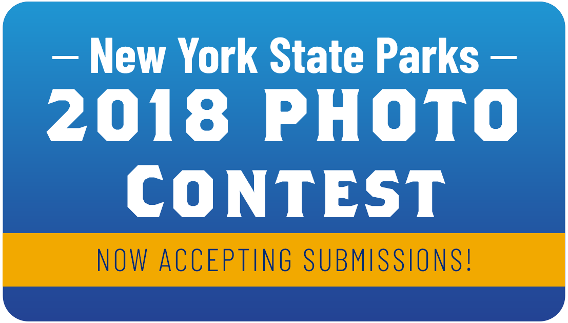 NYS Photo Contest