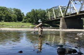 Collecting water samples in the Walkill River for  water quality testing