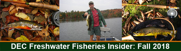 Freshwater Fisheries Insider - Fall 2018