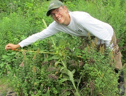 Alex Crutze measures a shrub planted several years ago at a Trees for Tribs site.