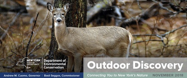 Outdoor Discovery Banner Nov. 2018