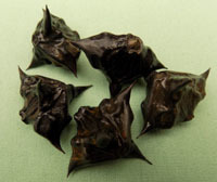 Water chestnut seeds