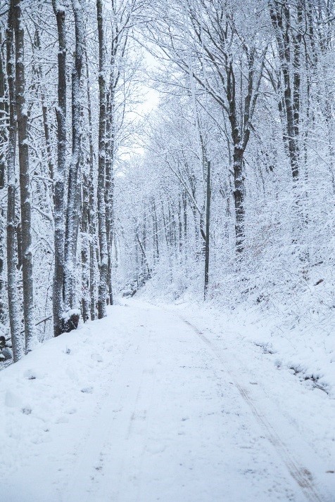 Snow covered road in Catskills
