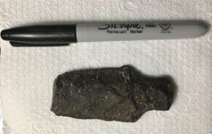 Bare Island projectile point