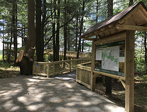 Pharsalia accessible trail