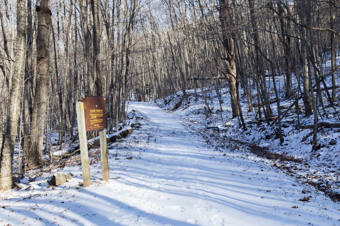 winter trail at dusk