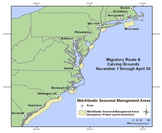 Seasonal Management Areas in the Mid-Atlantic Region